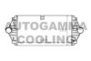 AUTOGAMMA 101491 Intercooler, charger